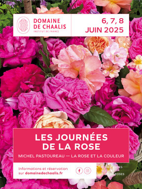 Les journées de la rose